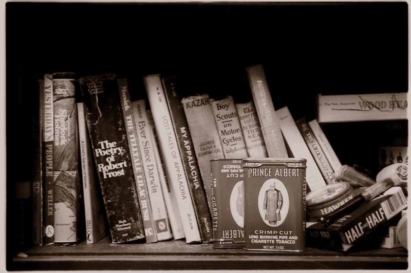 Bookshelf at the cabin