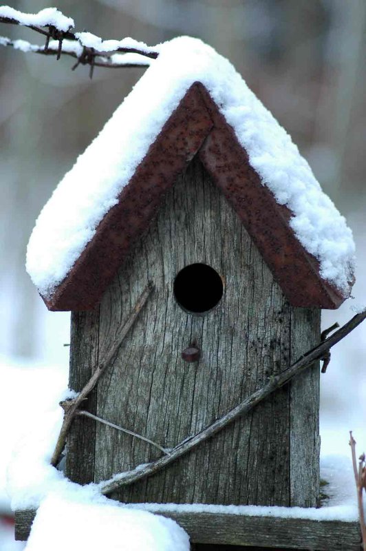 Winter Cottage 4681