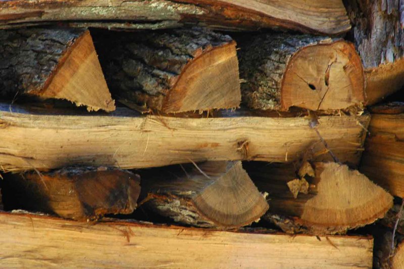 Firewood 1301