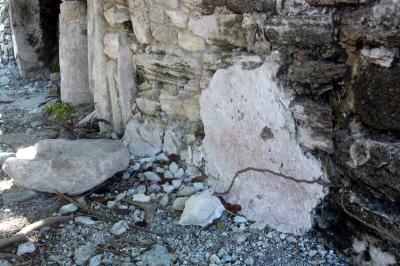 Termite tube on ruin 6412