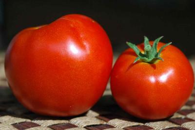 28 First tomatoes 9586