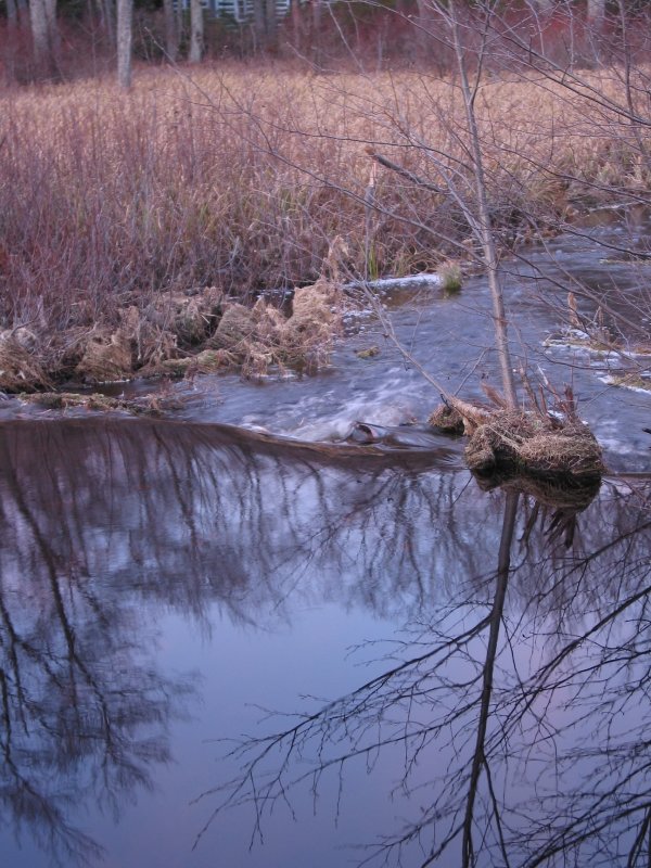 Rothrock State Forest