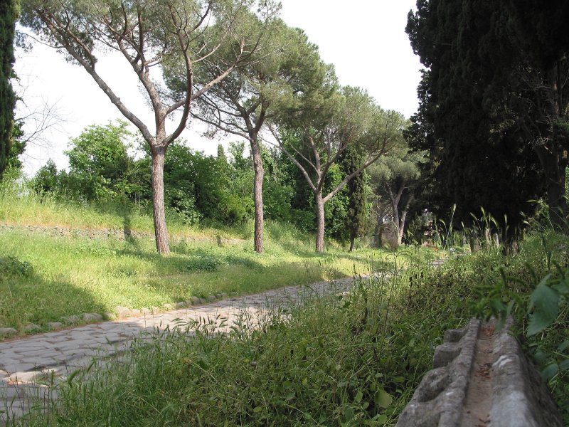g4/31/529731/2/44098510.J9Ccrras.jpg