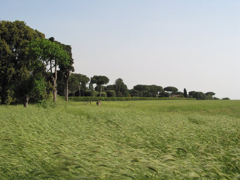 ... villa