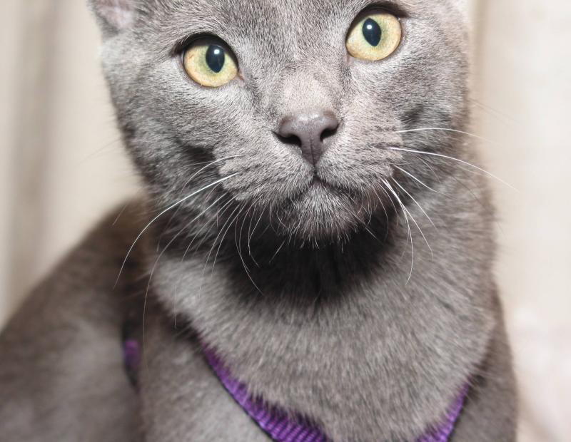 look into my eyes
