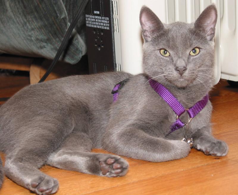 Tai as a teenager