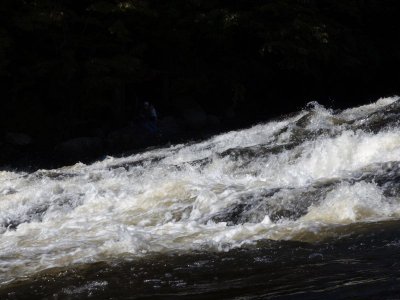 Chutes Wilson