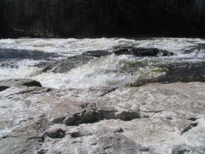 Chute Wilson