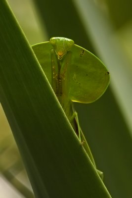 Hi there stranger!