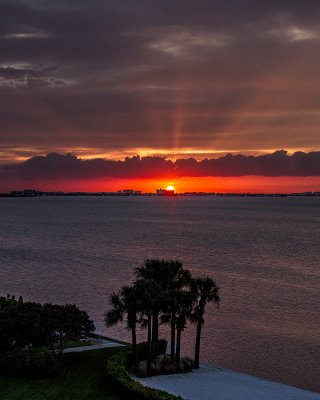 Balcony Sunset