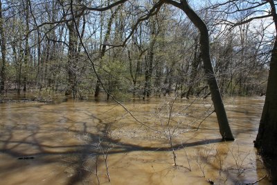 Crosswicks Creek