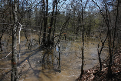 Crosswicks Creek