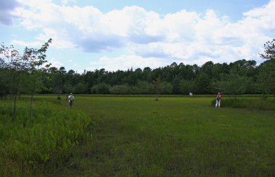 Hirst Pond #2