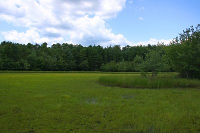 Hirst Pond #2