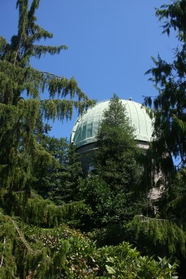IMG_2234.jpg