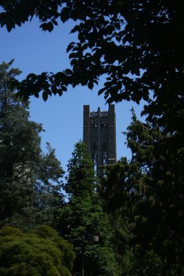 IMG_2239.jpg