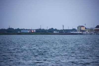 Shorebound booby watchers!