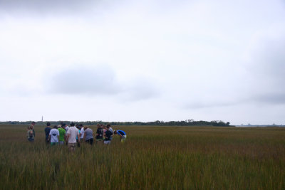 Installation of Osprey Platform-Sedge Island