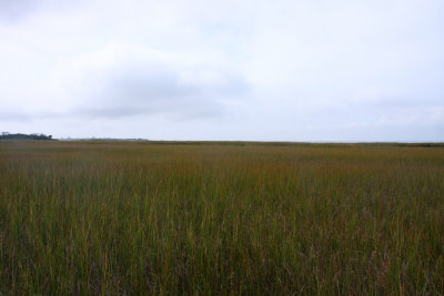 Installation of Osprey Platform-Sedge Island