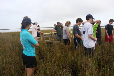 Installation of Osprey Platform-Sedge Island