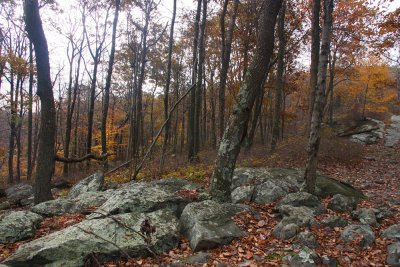 Appalachian Trail- NJ