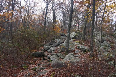 Appalachian Trail- NJ