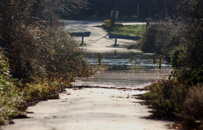 Flooded road