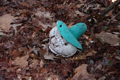 Wooded weirdness