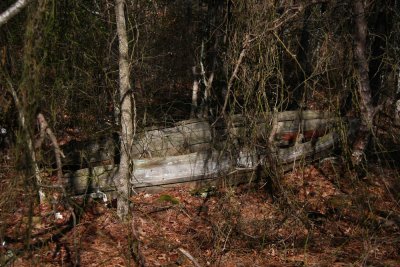 Wooded weirdness