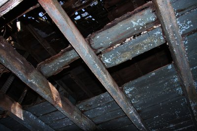 IMG_7049.jpg