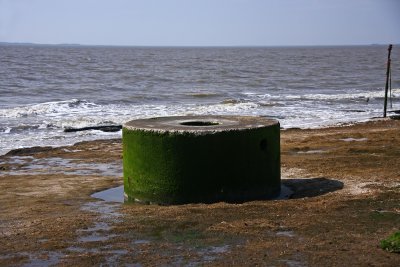 Seabreeze