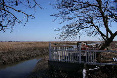 Seabreeze