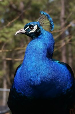 IMG_7315.jpg