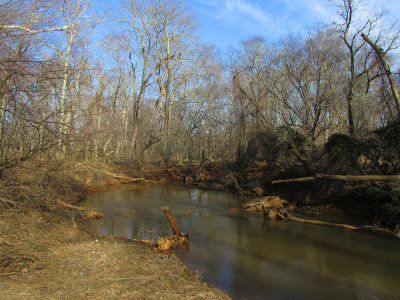 Manasquan River as seen in Allaire State Park