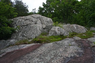 IMG_0098.jpg
