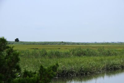 IMG_0238.jpg