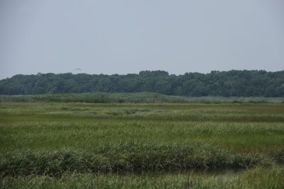 IMG_0239.jpg