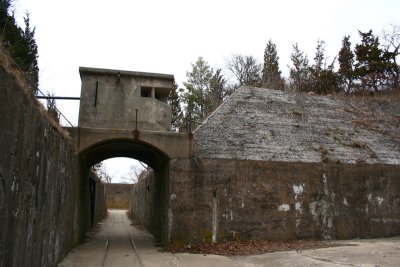 1.IMG_4795.JPG