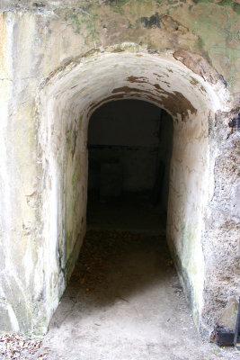 1.IMG_4803.JPG