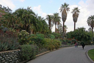 Huntington Botanical Gardens