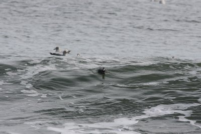 1.IMG_3183.jpg