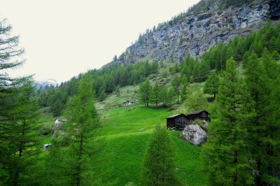 The Swiss Alps