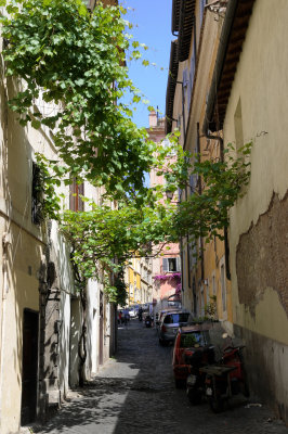 Via dei Neofiti