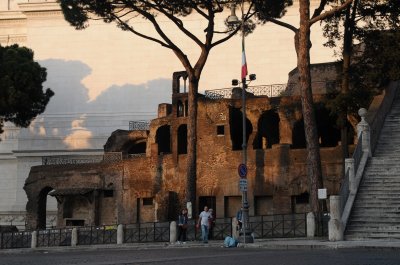 Insula