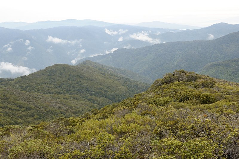 View from Cerro de la Muerte