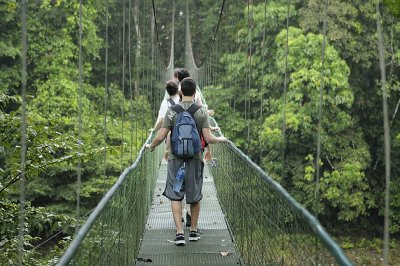Into the old growth forest