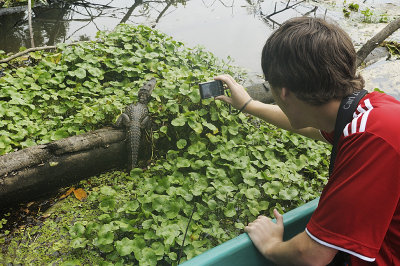 Caiman hunting