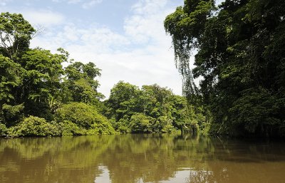 Tortuguero canal