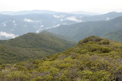 View from Cerro de la Muerte