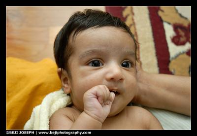 Alfy 5